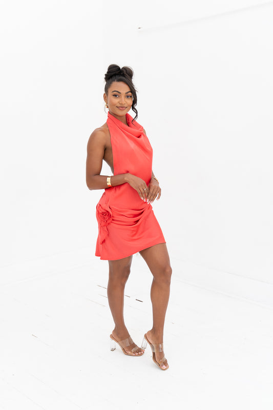 Rosa Mini Dress